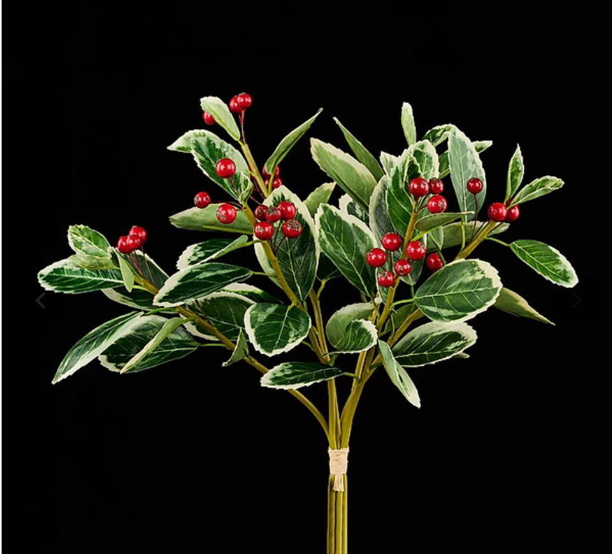Variegated Christmas Holly & Red Berry Bundle
