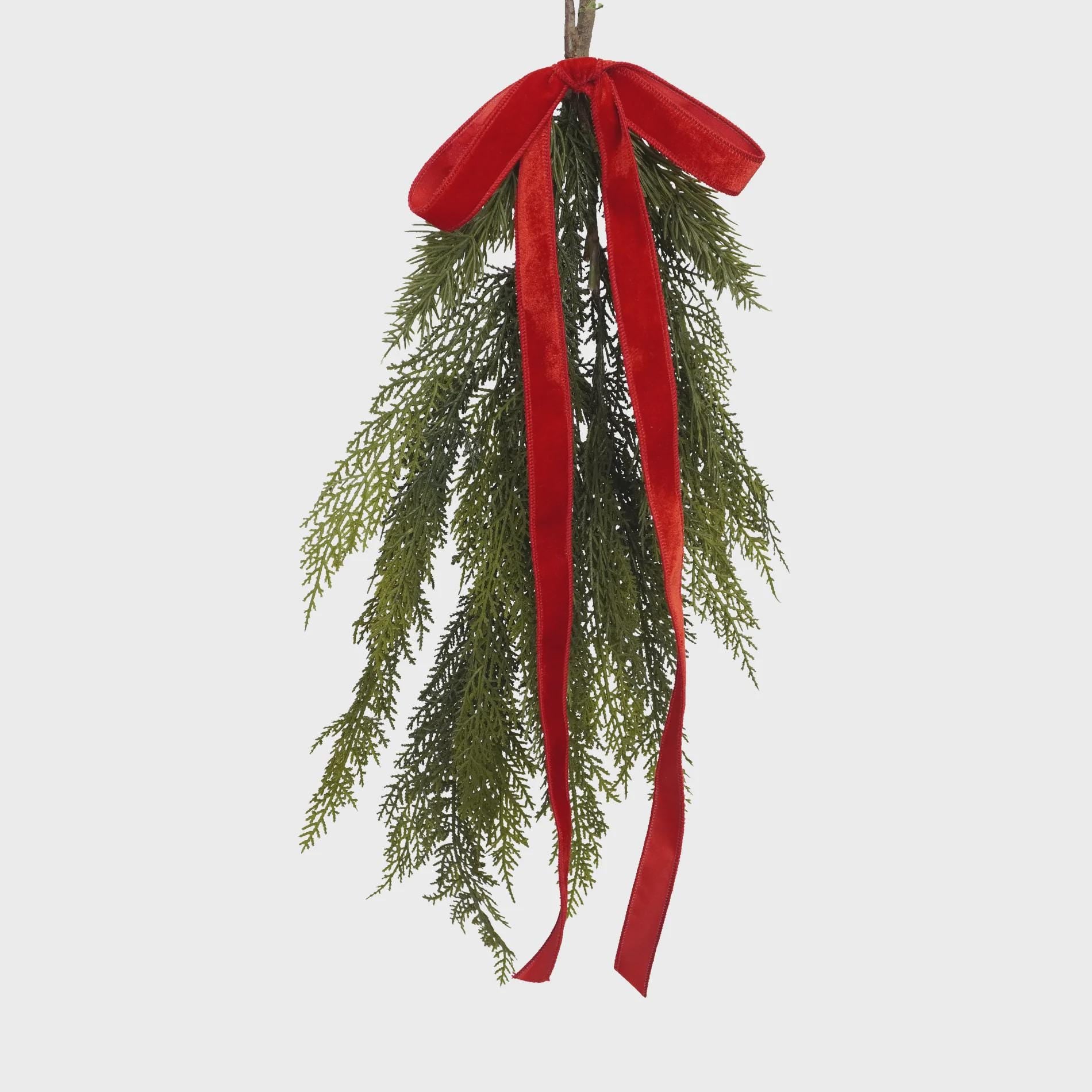 Hanging greenery with a red ribbon on a white background