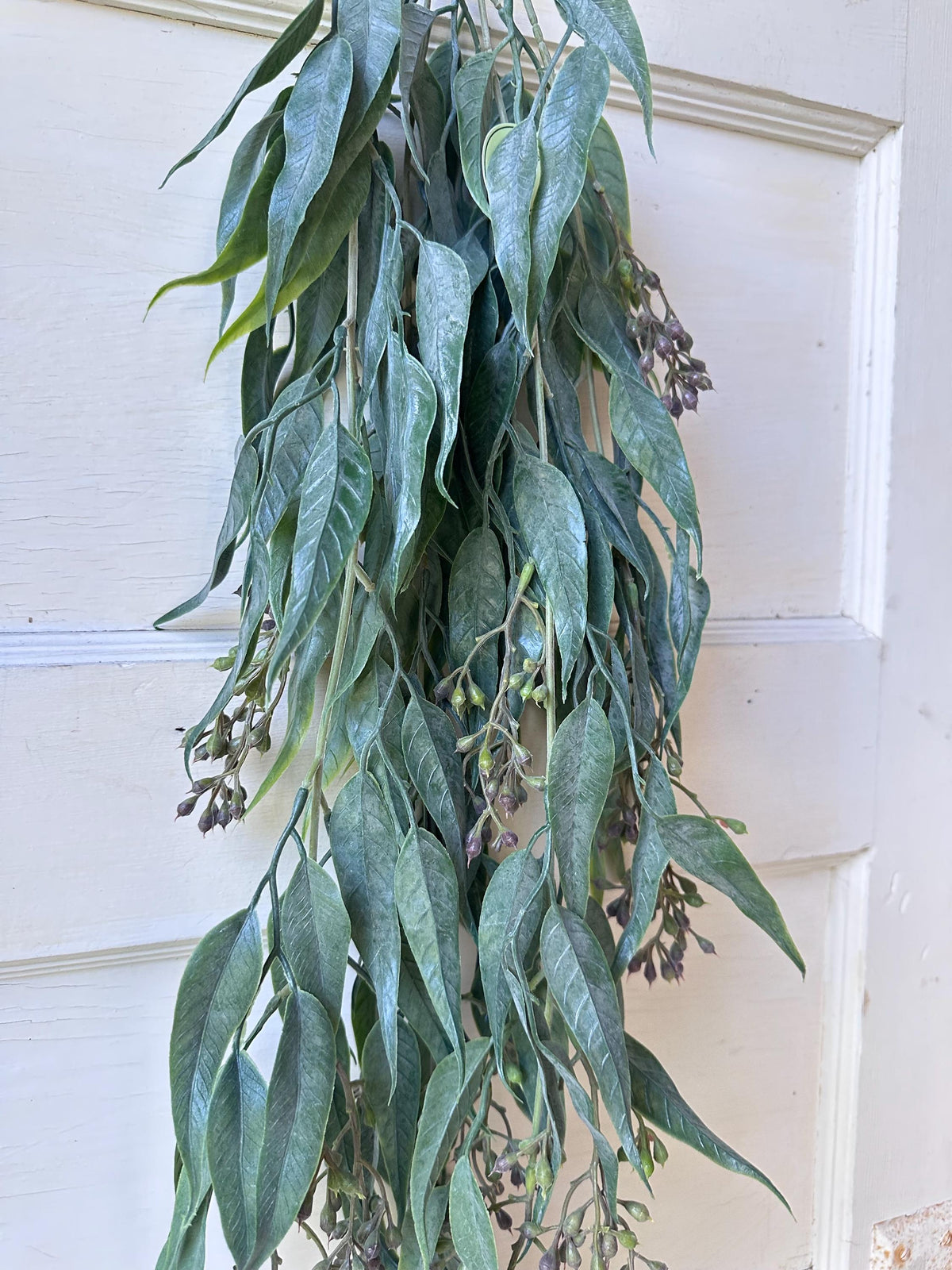 Hanging Seeded Eucalyptus Greenery Artificial Bush Fake Plant Shelf Decor Draping Trailing Faux Greenery for Bookcase Mantel or Basket