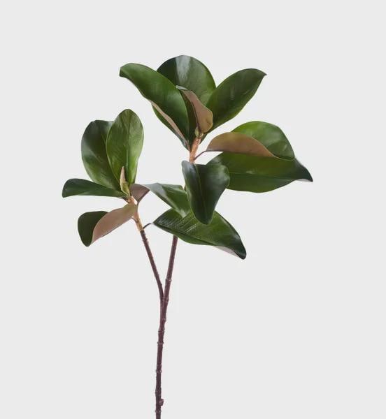 Magnolia Leaf Spray Faux Greenery Stem for Wreaths Garlands Centerpieces & Home Decor