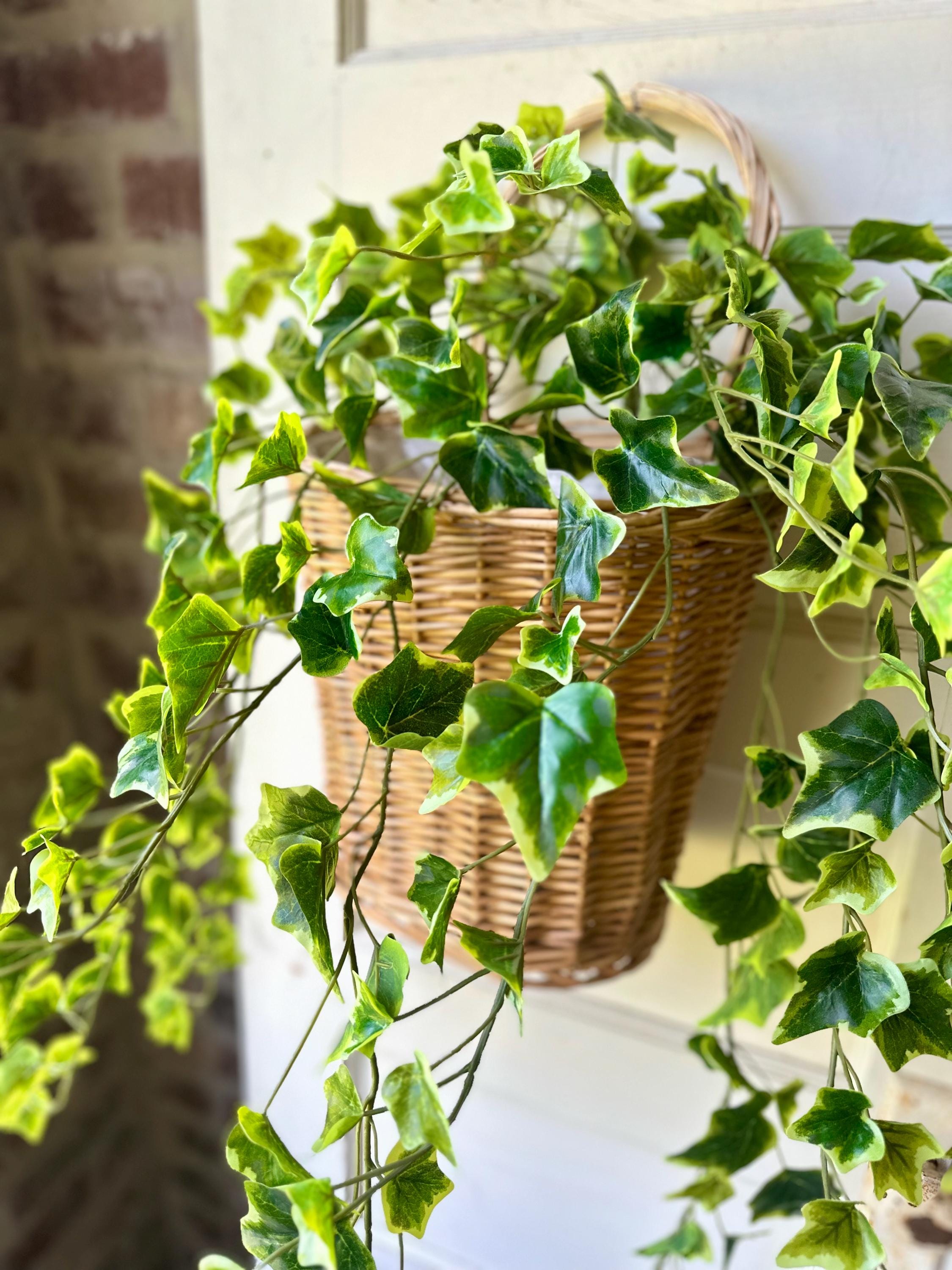 Variegated Ivy Bush Real Touch Faux Greenery Trailing Ivy Stem Front Door Basket Decor Indoor Greenery