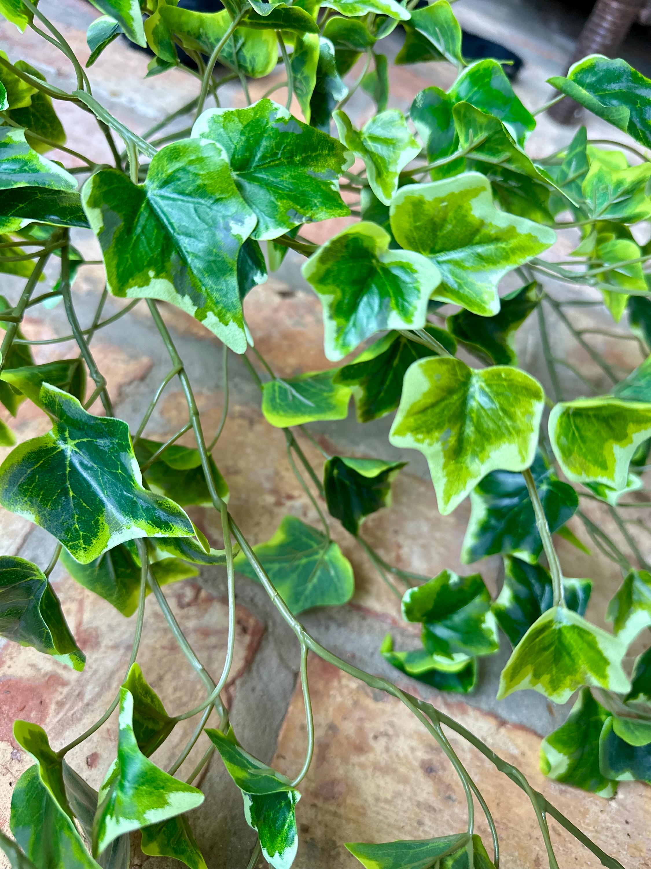 Variegated Ivy Bush Real Touch Faux Greenery Trailing Ivy Stem Front Door Basket Decor Indoor Greenery