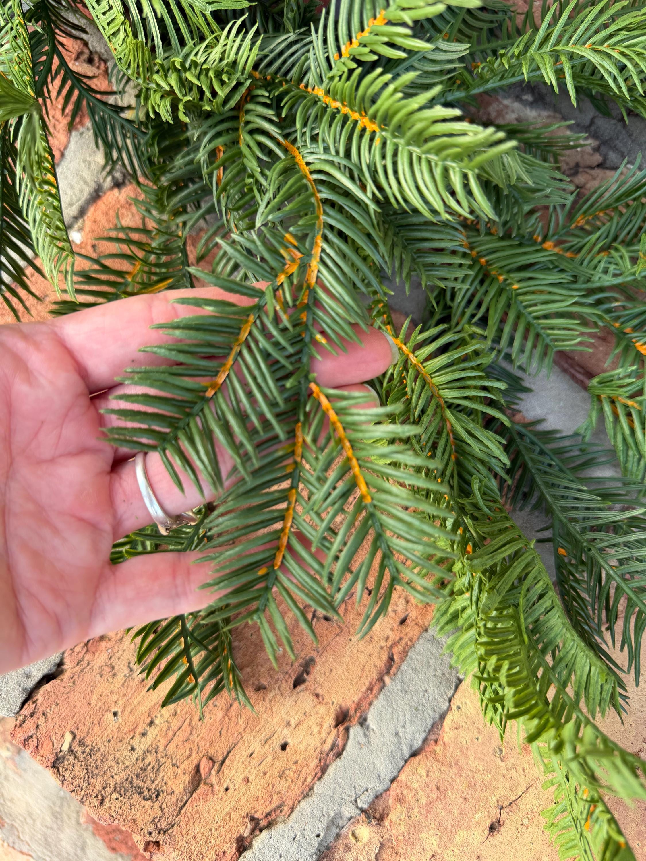 Christmas Garland Balsam Pine Garland Evergreen Greenery for Mantel Staircase Holiday Decor