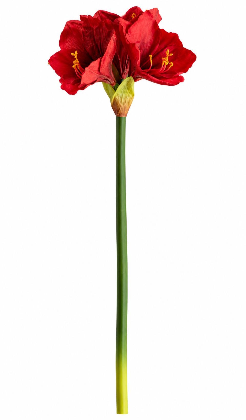 Artificial Amaryllis Stem Real Touch Red Christmas Floral Stem Holiday Arrangement Flower