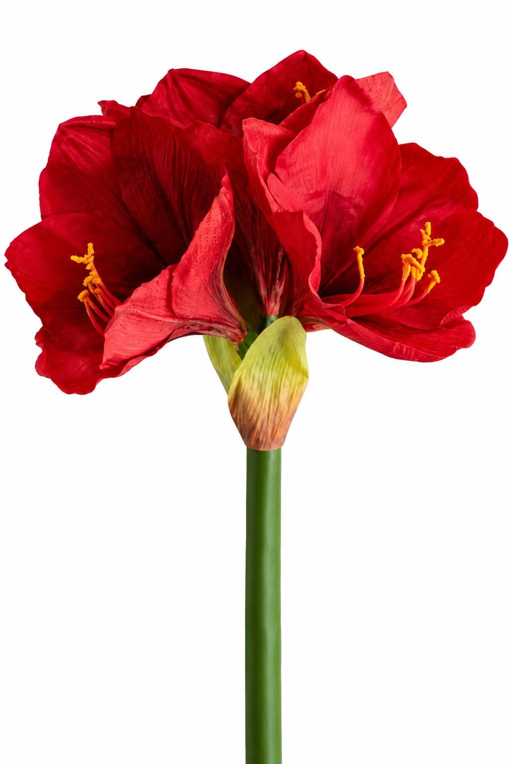 Artificial Amaryllis Stem Real Touch Red Christmas Floral Stem Holiday Arrangement Flower