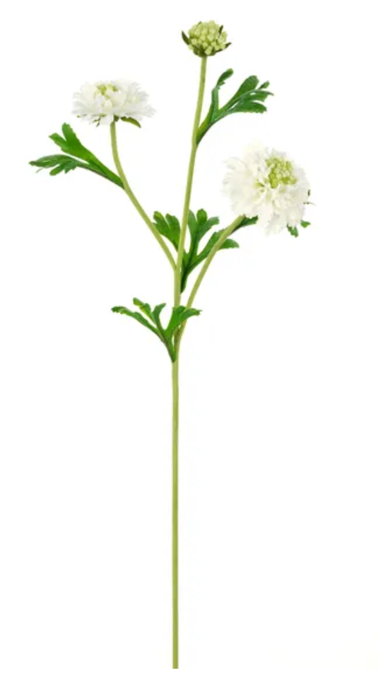 21" Real Touch Scabiosa Spray | Faux White Pincushion Flower Stem