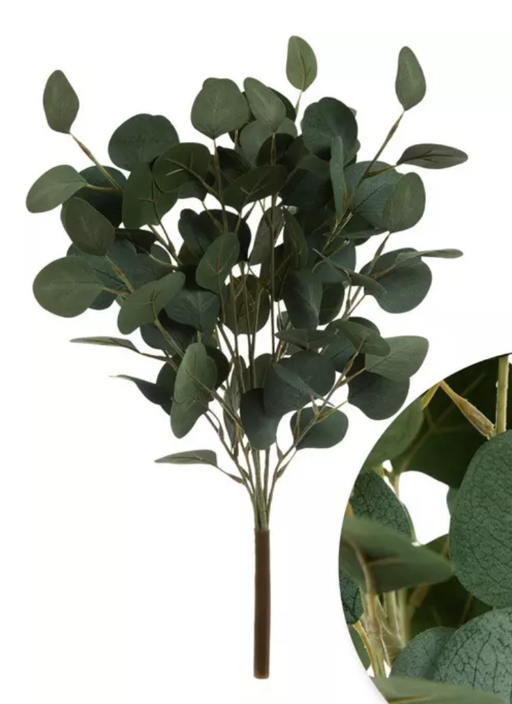 Eucalyptus Bush