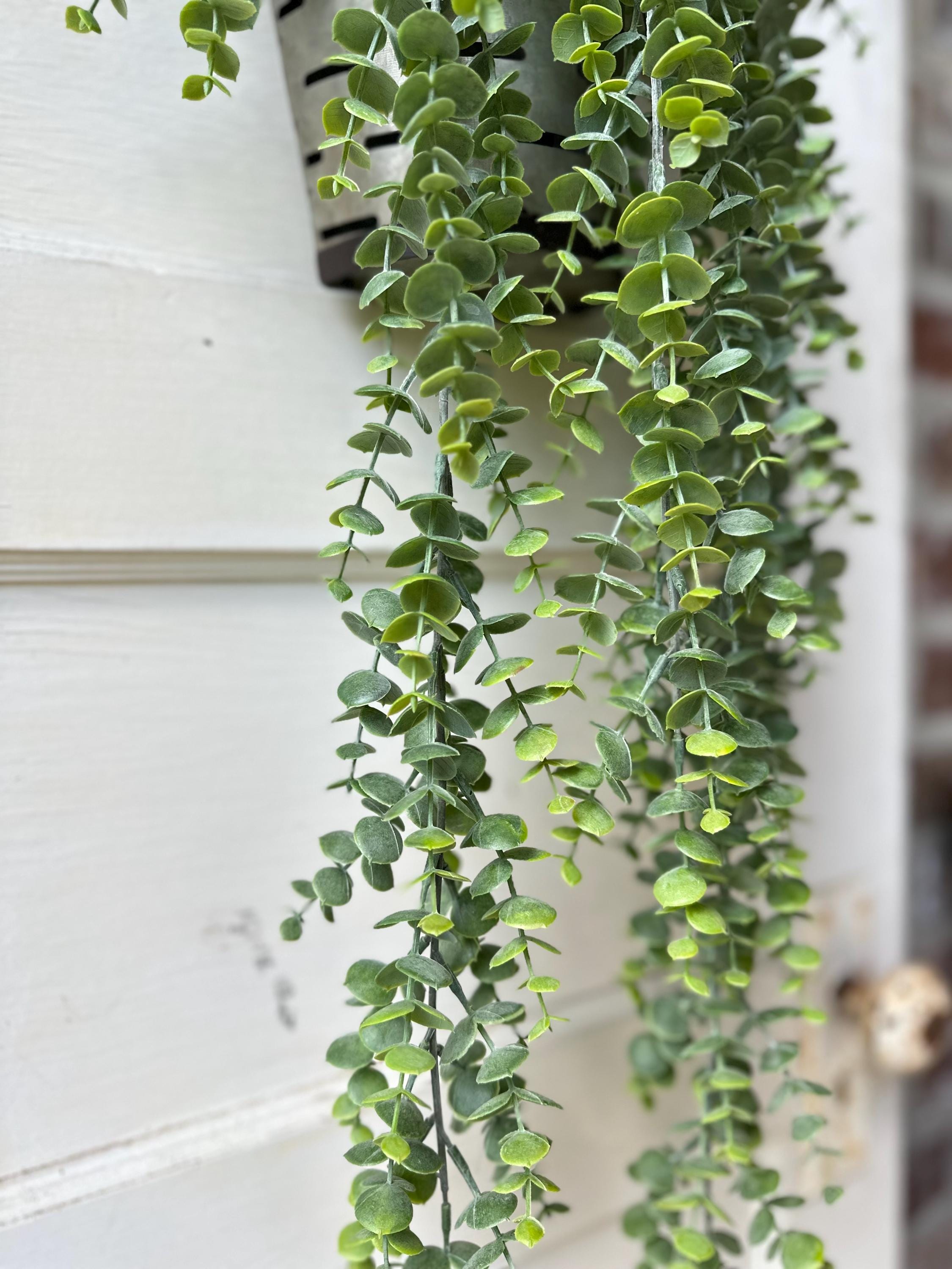Hanging Eucalyptus Greenery Artificial Bush Fake Plant Shelf Decor Mantel Decor Trailing Faux Greenery for Bookcase Basket
