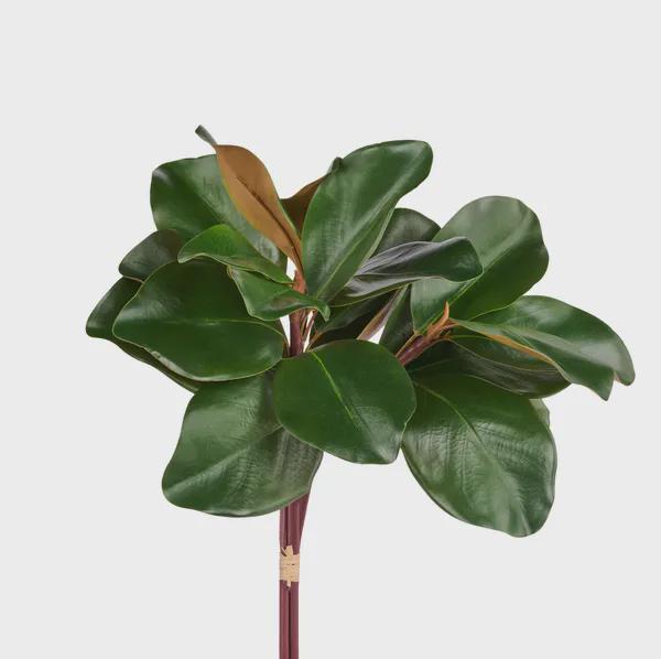 Magnolia Leaf Bundle Artificial Greenery Stem Realistic Magnolia Leaves Elegant Green Foliage for Wreaths Arrangements Home Christmas Decor