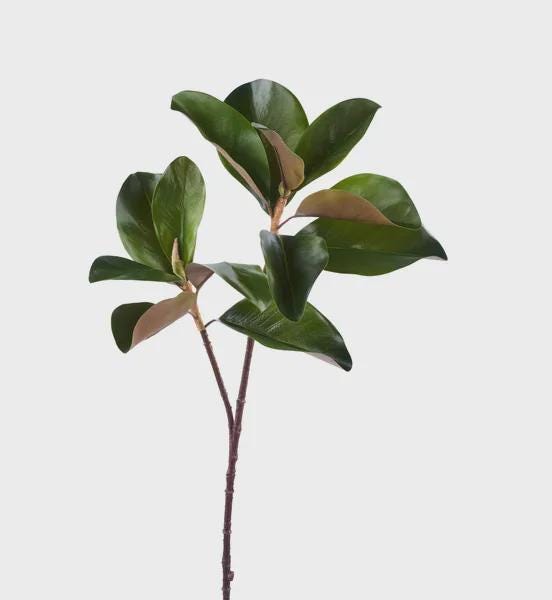29" L Magnolia Leaf Spray