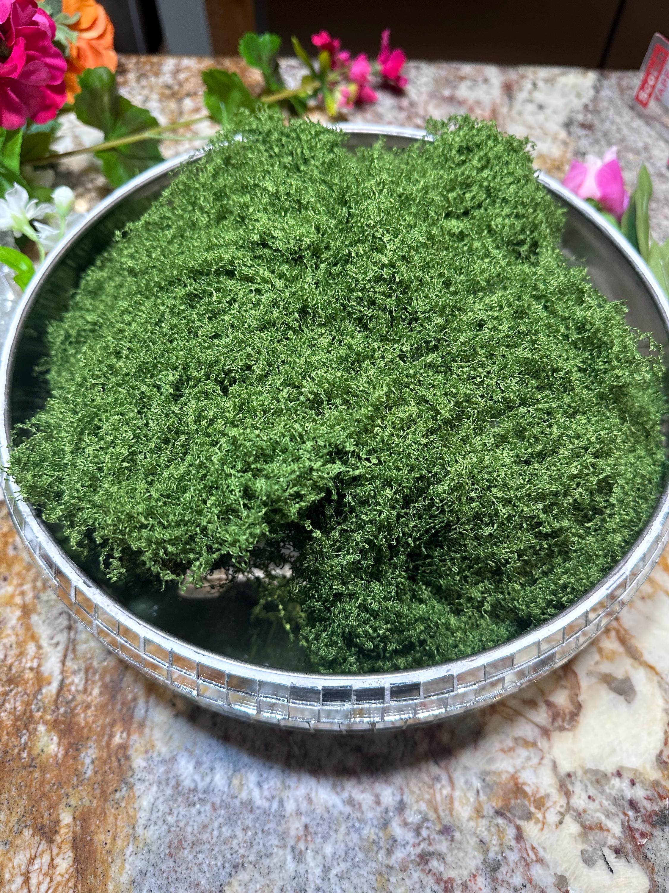 Artificial Moss for Terrariums, Fairy Gardens, Floral Arrangements, Home Decor, Garden Decor, Decorative Moss Filler