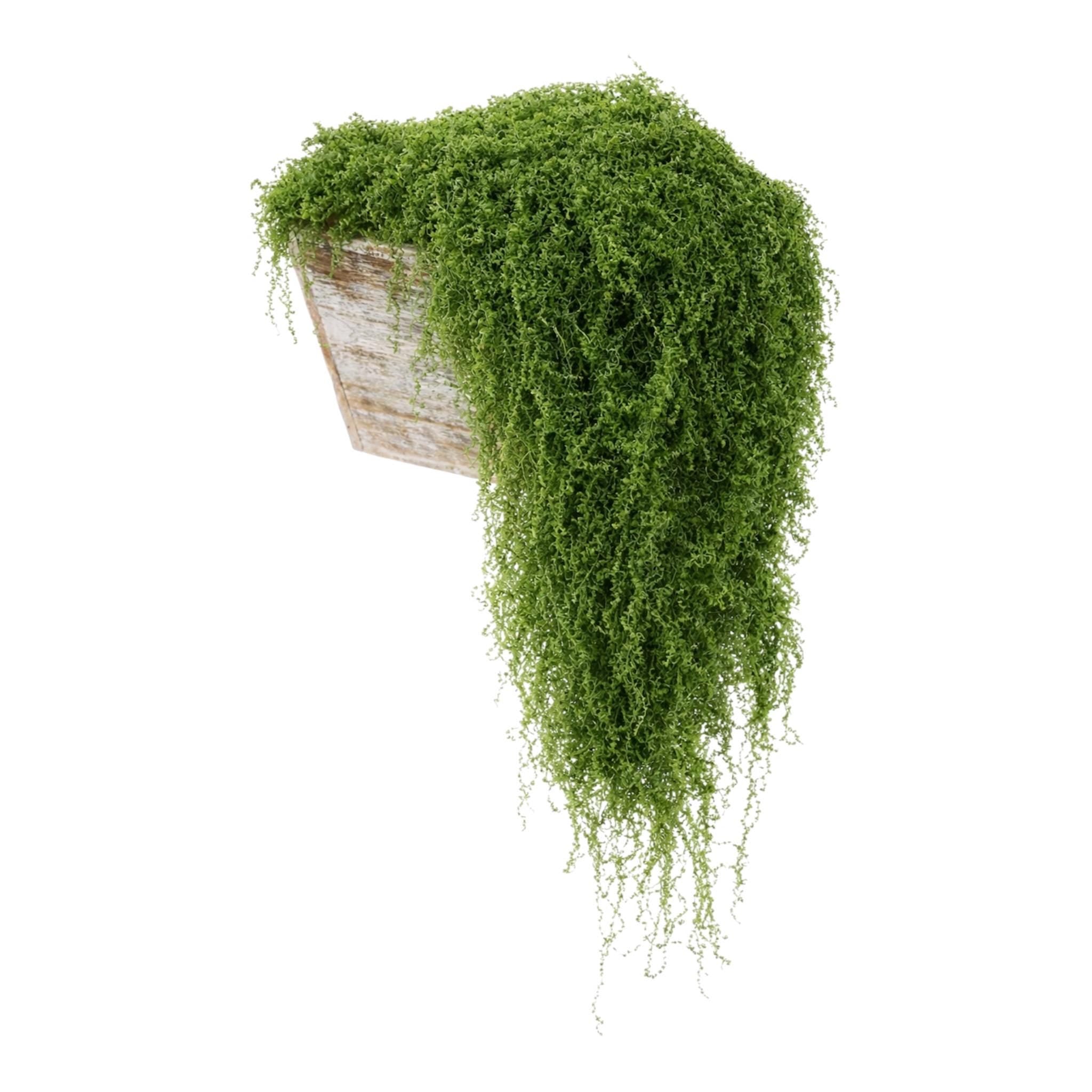 Artificial Moss for Terrariums, Fairy Gardens, Floral Arrangements, Home Decor, Garden Decor, Decorative Moss Filler