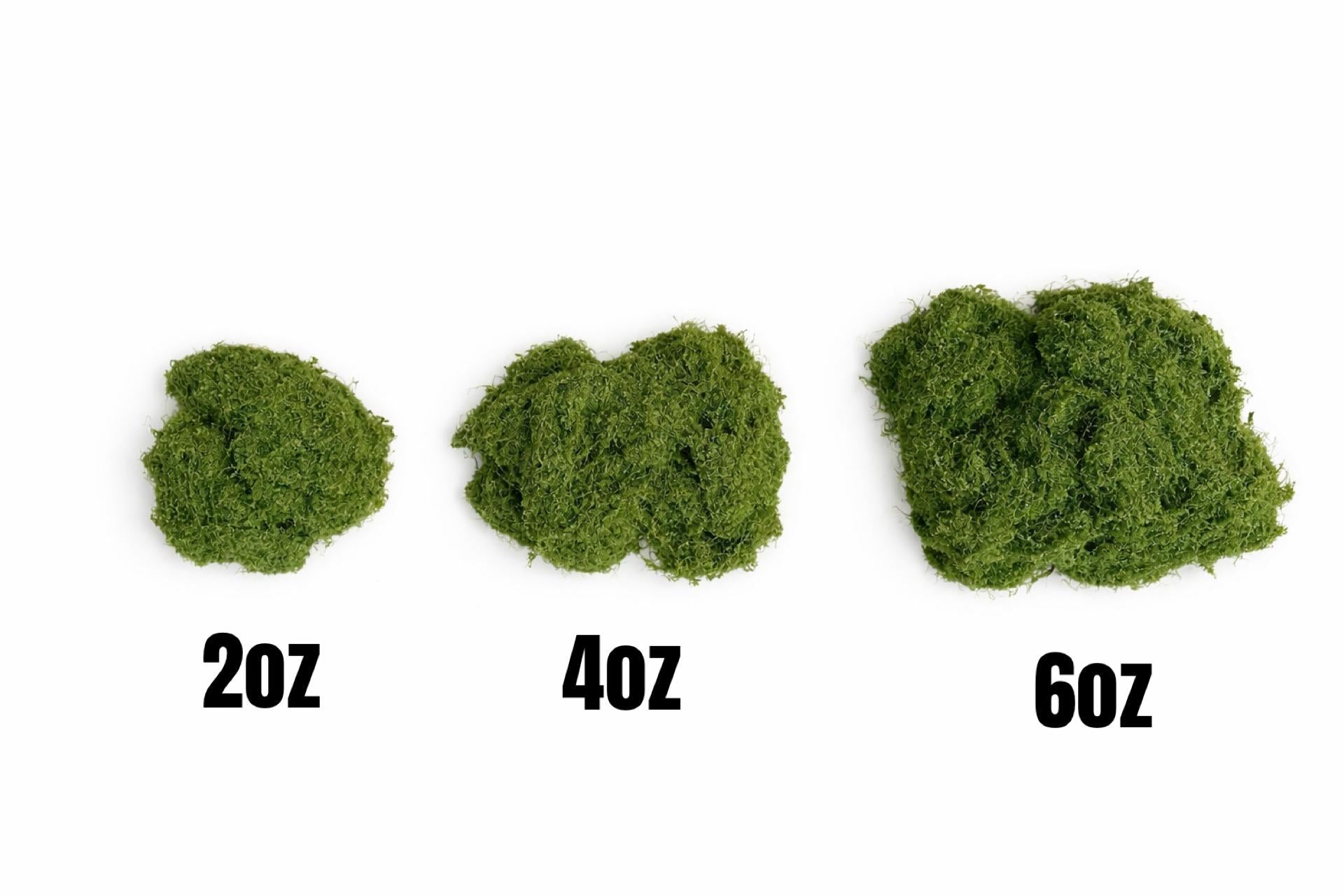 Artificial Moss for Terrariums, Fairy Gardens, Floral Arrangements, Home Decor, Garden Decor, Decorative Moss Filler