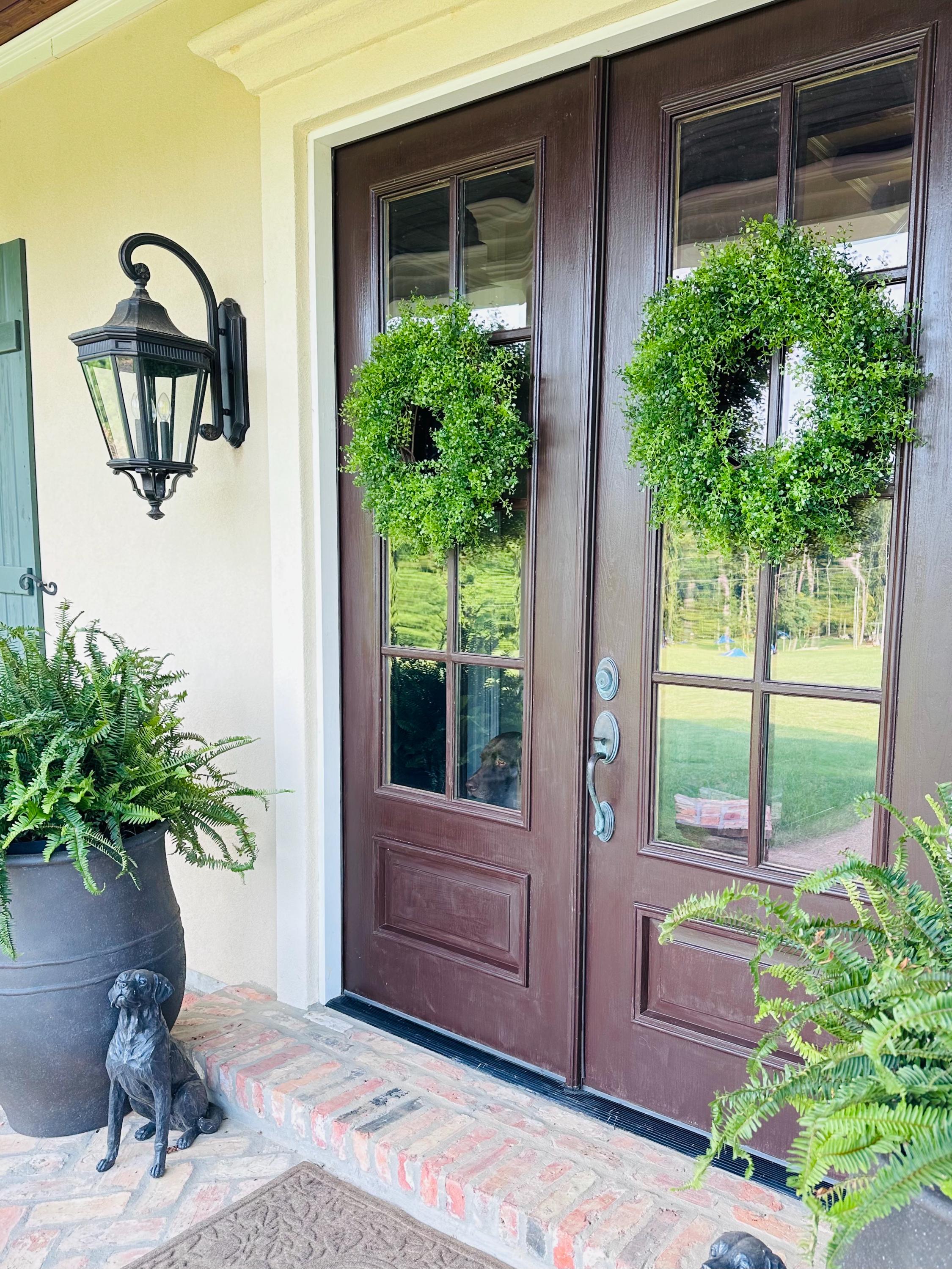 Traditional Style Boxwood Wreath Artificial Foliage Classic Round Shape Front Door Hanging Green Ring Display Indoor Outdoor Use Premium Construction Twenty Six Inch Diameter Full Coverage Entrance Accent Year Round Display Home Enhancement