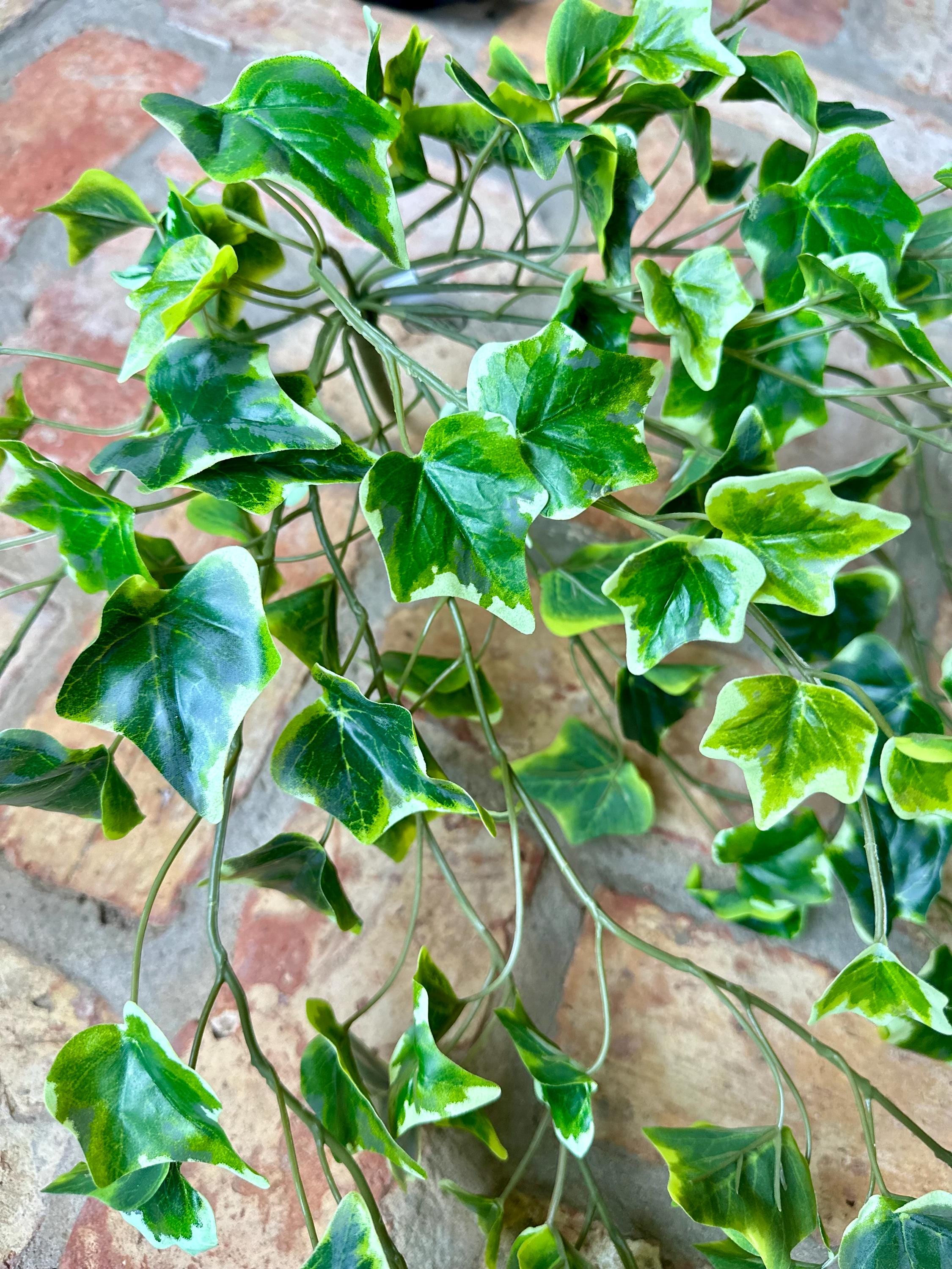 Variegated Ivy Bush Real Touch Faux Greenery Trailing Ivy Stem Front Door Basket Decor Indoor Greenery