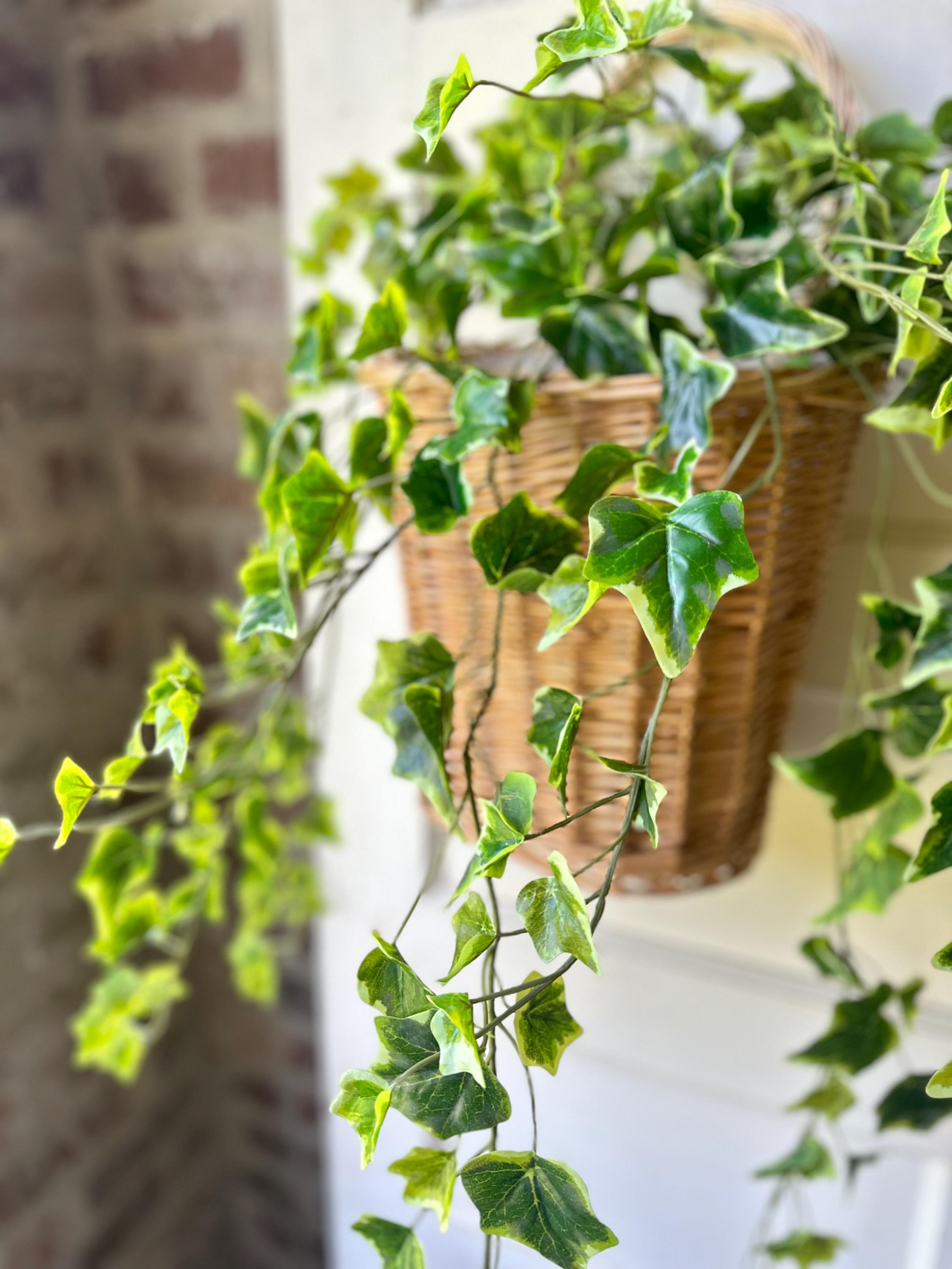 Variegated Ivy Bush Real Touch Faux Greenery Trailing Ivy Stem Front Door Basket Decor Indoor Greenery