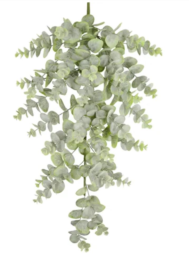 32" L Spiral Eucalyptus Teardrop