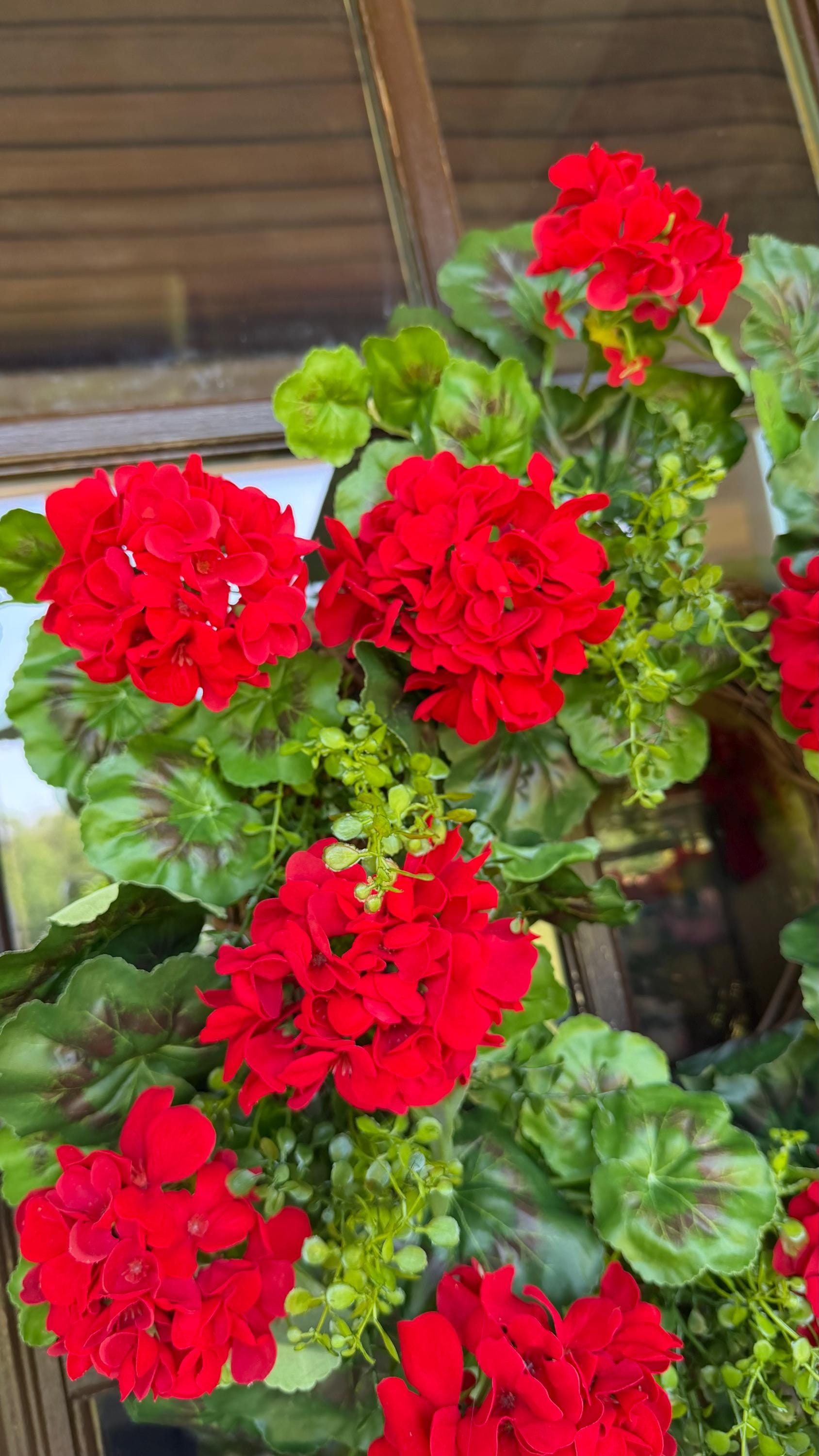 Geranium Wreath Decor for Front Door Summer Wreath 4th of July Wreath Faux Wreath Red Geranium Wreath Spring Wreath Mothers Day Gift