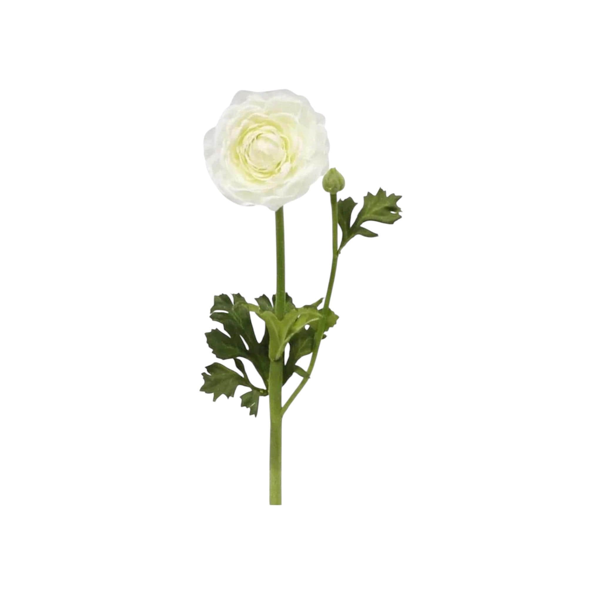 18.5" L Ranunculus Spray