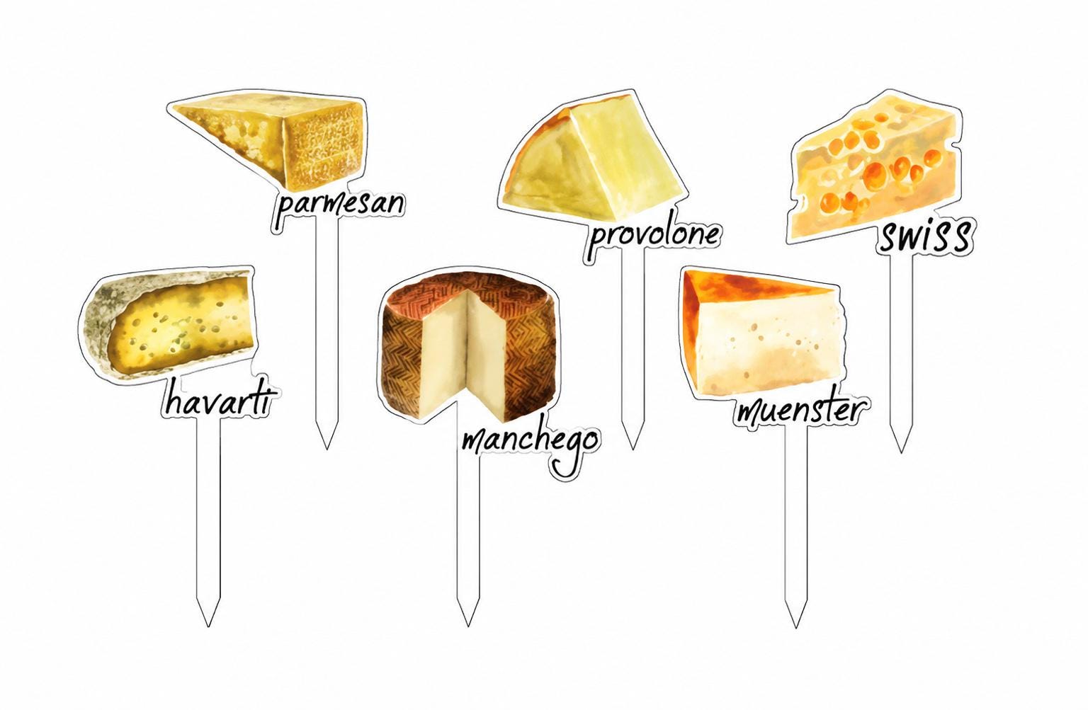 Reusable Cheese Markers Charcuterie Board Accessories Watercolor Cheese Labels Appetizer Picks Party Decor Hostess Gift Thank you gift