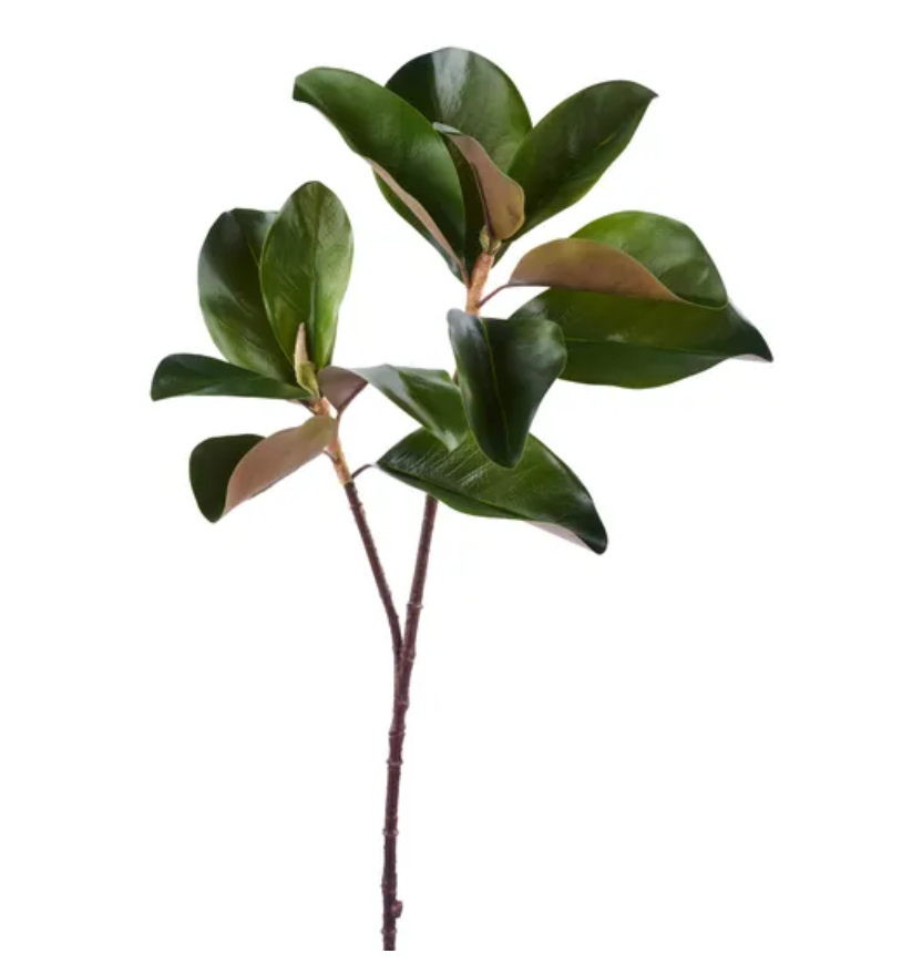 29" L Magnolia Leaf Spray
