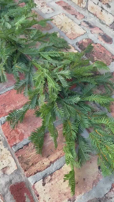 Christmas Garland Balsam Pine Garland Evergreen Greenery for Mantel Staircase Holiday Decor